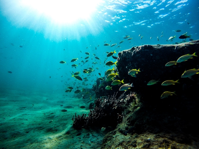 Fundo do mar 