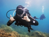 Link PADI Open Water Diver