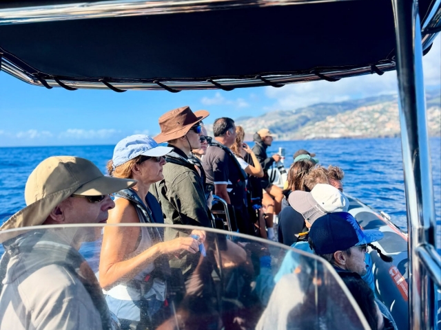  Observación desde el barco 