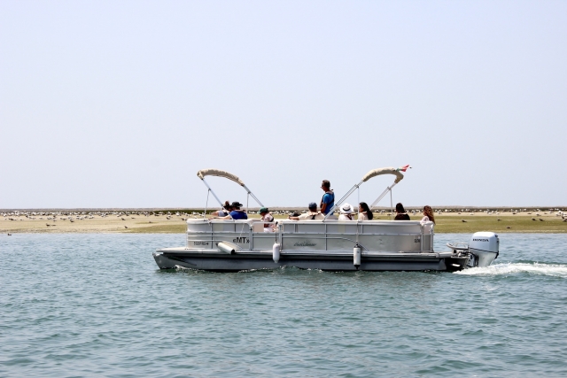  Excursion en bateau privé 