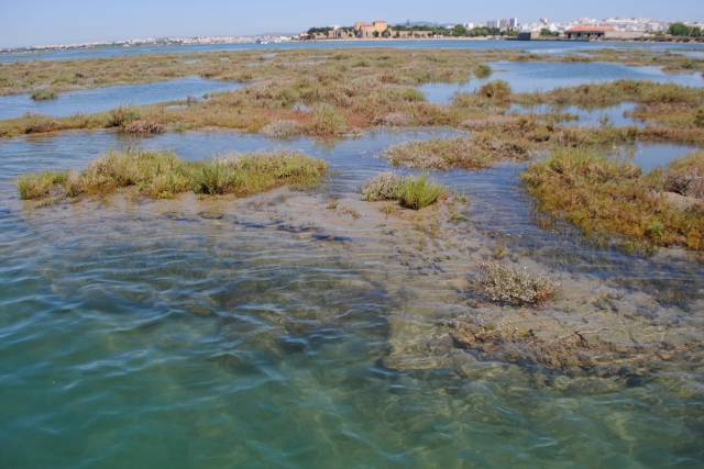  Vues sur l'environnement naturel