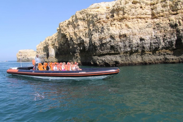 Deseando conocer a los delfines