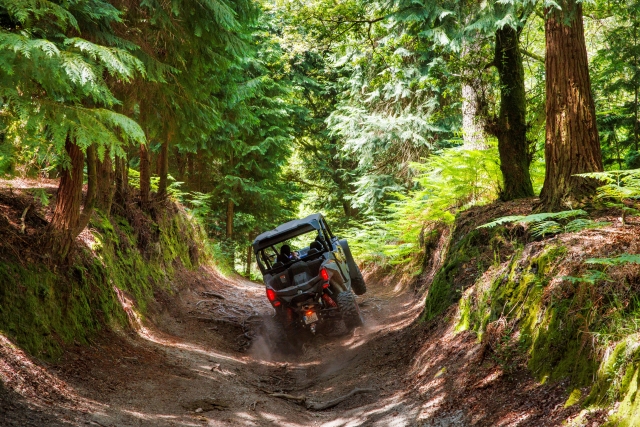  Buggy day with friends 