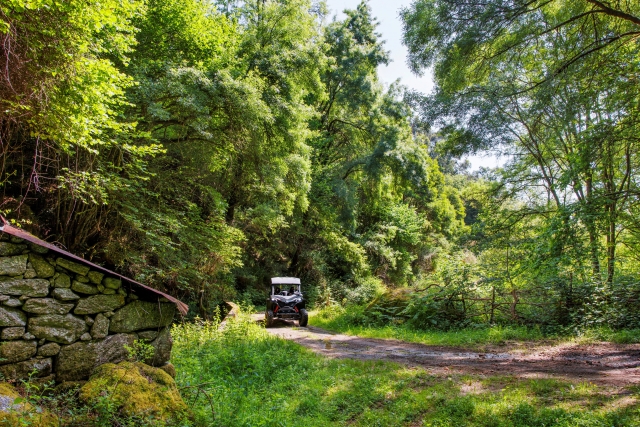  Discover the secrets of the mountain in a buggy 