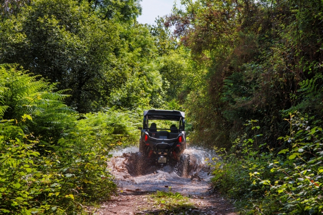  Climb in our buggy 