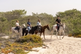 Percurso a cavalo pela praia + visita guiada a Setúbal