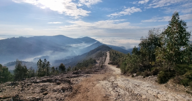  轮胎凹槽在要遵循的道路上 