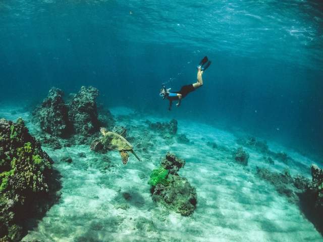  Snorkeling 