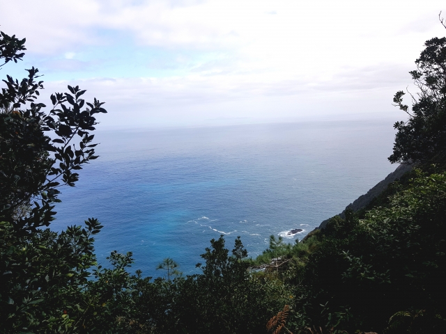  Ansichten von Madeira