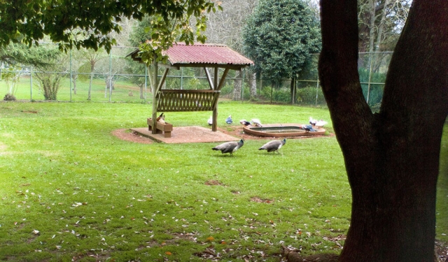  Village gardens 
