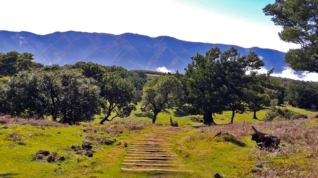  Madeira Landscapes 