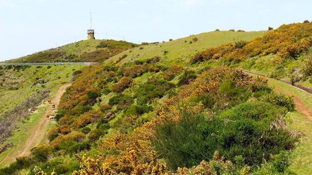  Natur der Gegend 