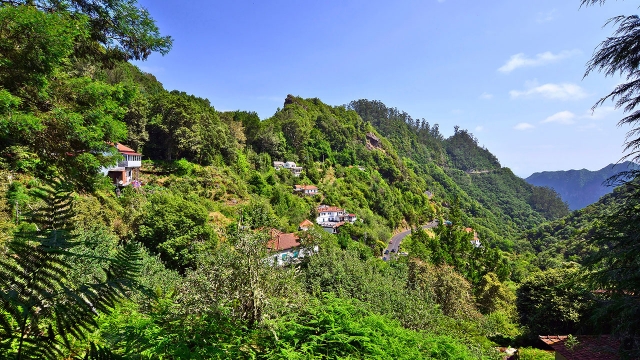  马德拉风景 
