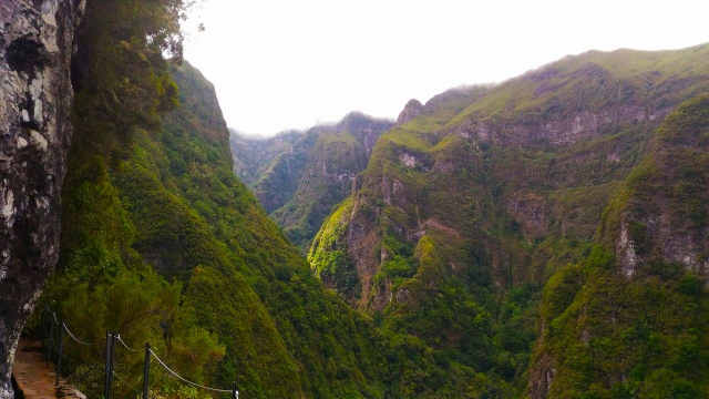  Aree montane di Madeira