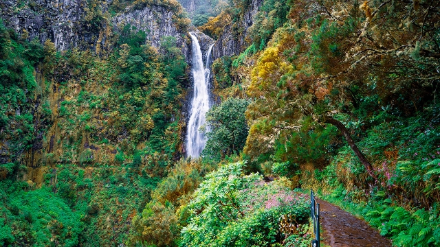Risco Waterfall 