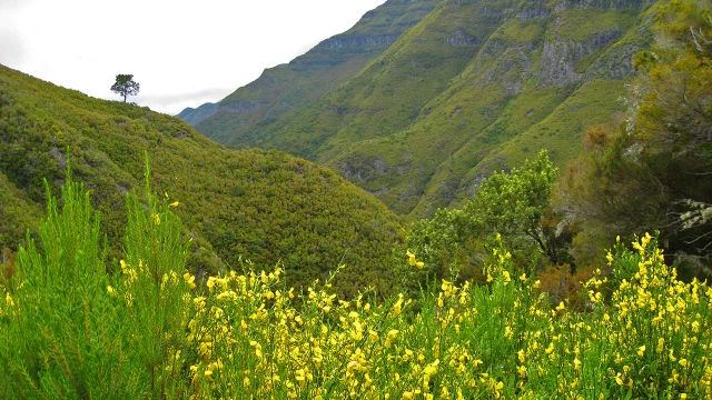  拉瓦萨尔山谷的风景 