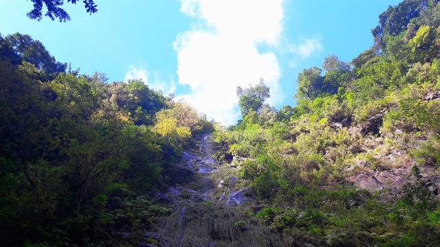  马德拉自然景观 