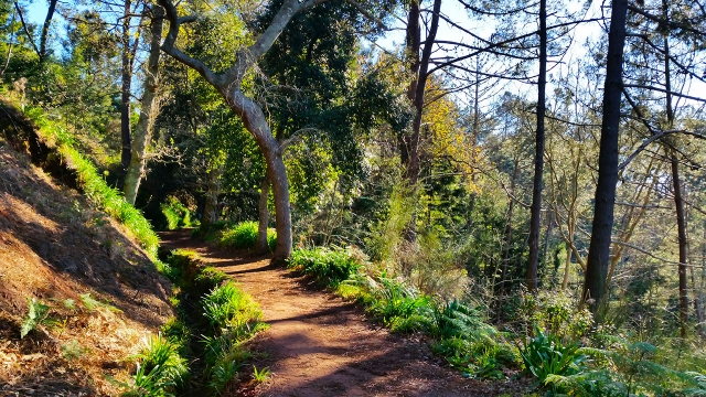 Senderos por Vale do Paraíso