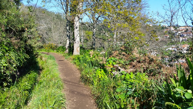 Levada de Serra do Fail 