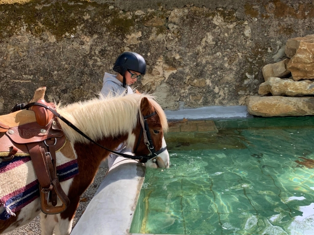 Ponyreiten für Kinder 20 Min. Bucelas (Lissabon)