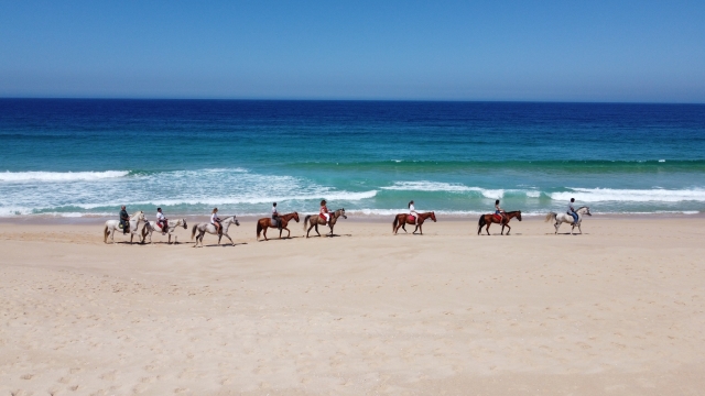  Marcher le long de la côte portugaise 