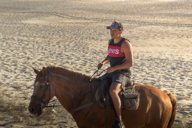  Sur la plage avec le cheval