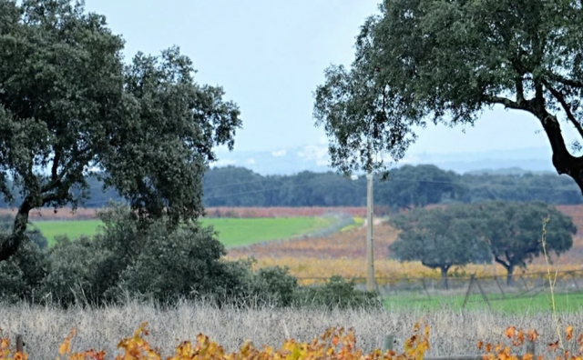Paysages de la région 