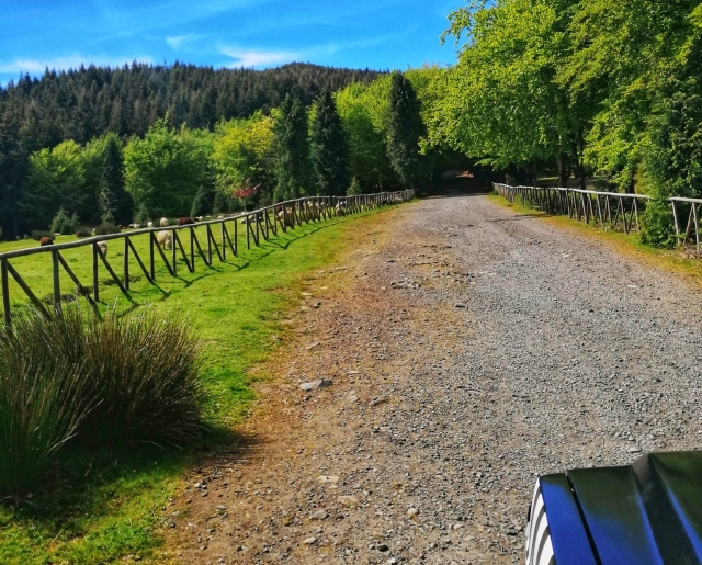  Découvrez Madère avec nos jeeps 