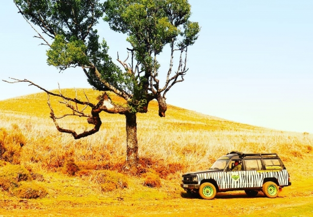  Tours en 4x4 