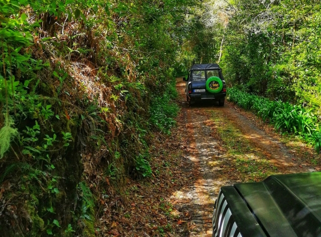  In un escursione in 4x4 