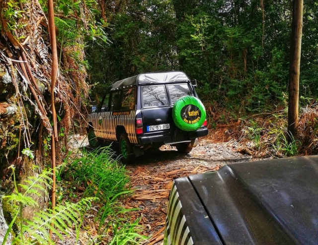  Véhicules 4x4 en route 