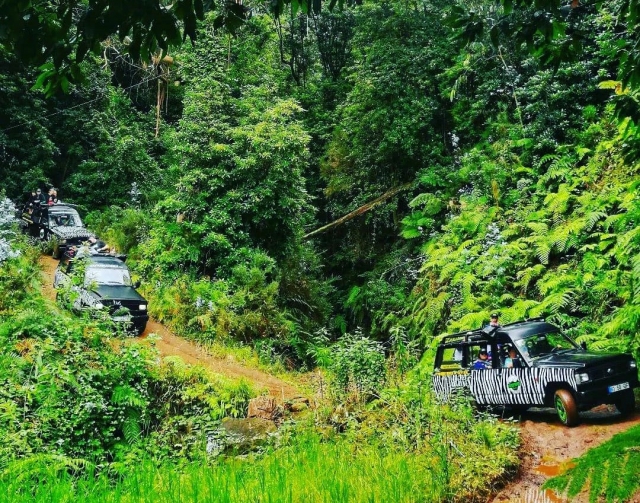  Jeeps sur la route 
