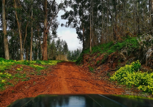  Vieni a vivere avventure in jeep 