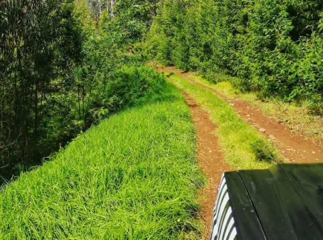 De ruta por Madeira