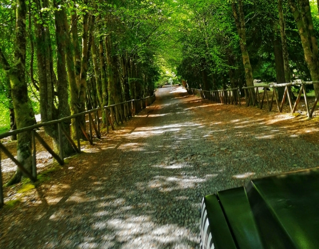 Ruta en jeep