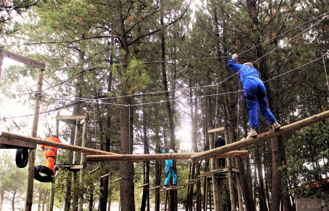 Circuit accrobranche