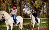 Percurso a cavalo pela zona da Golegã - 1h30