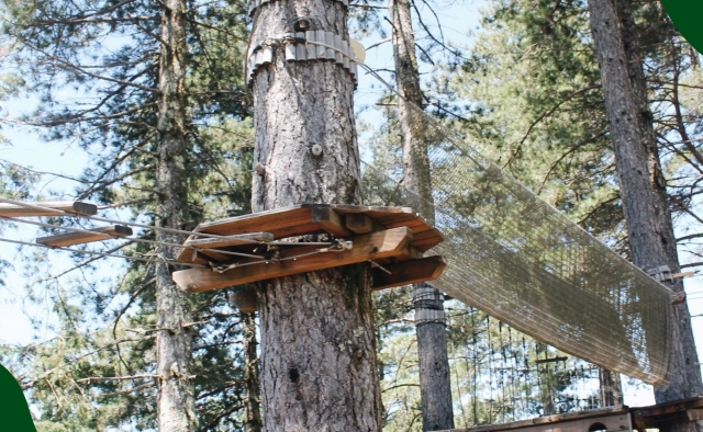  Plateforme entre les arbres 