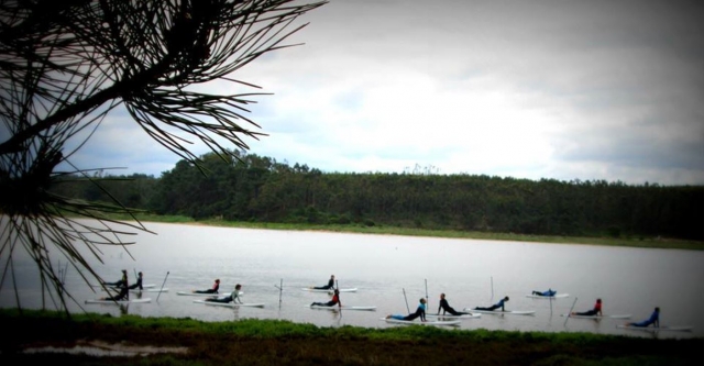  Diversi bagnanti praticano posizioni di paddle surf vicino alla riva 
