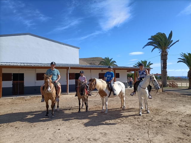  Posiert im Sand unseres Reitzentrums 