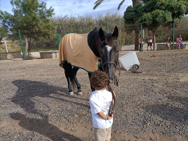  Un ragazzino che tiene le redini del cavallo con determinazione 