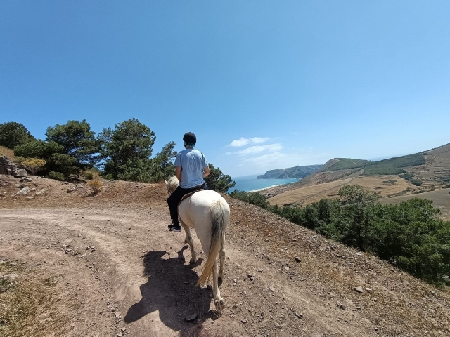  沿着山顶的小路走 