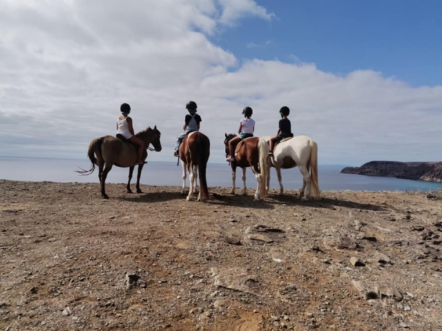  Um grupo de quatro amigos contemplando o horizonte de nuvens cavalo