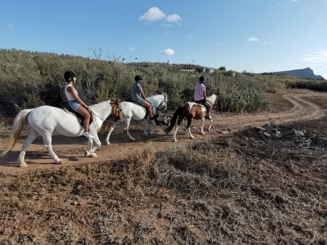  一条蜿蜒的道路，非常适合骑马旅行 