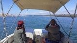 Percurso de barco + observação de aves 2:30h Ria Formosa crianças