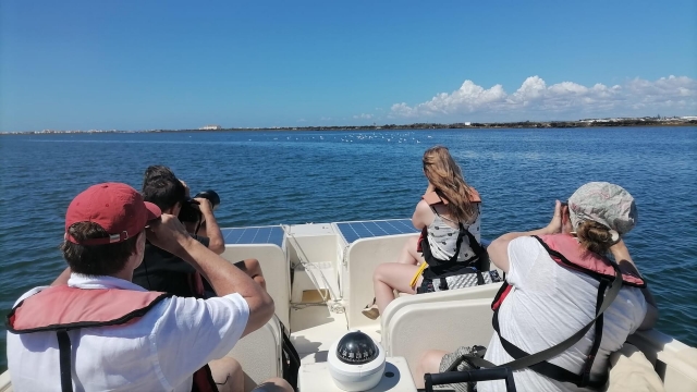 Explorando la zona en barco