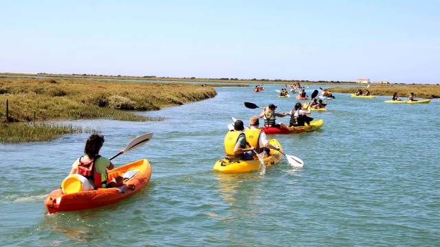  Godersi il paesaggio in kayak 