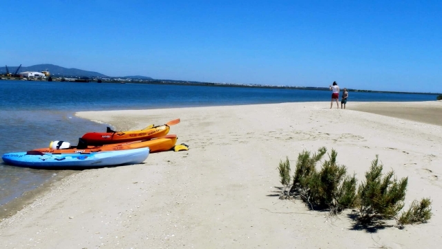  Tout est prêt pour la balade en kayak