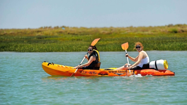 Kayak biplace à travers le parc naturel de Faro 