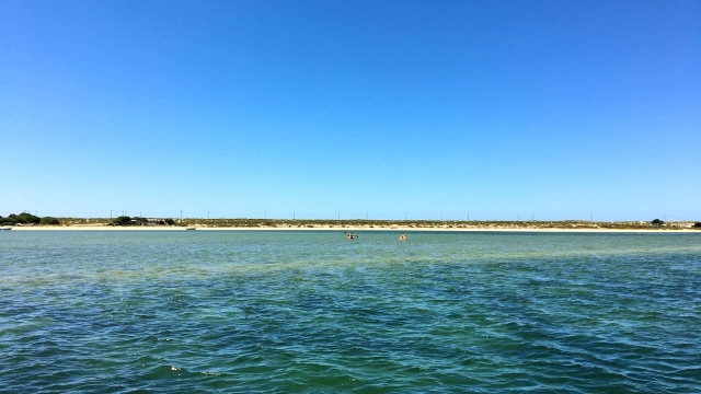  Les guides calmes de la Ria Formosa